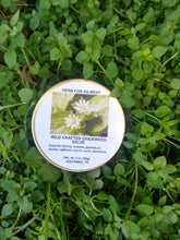 Load image into Gallery viewer, Wild Crafted Chickweed Salve 2 oz

