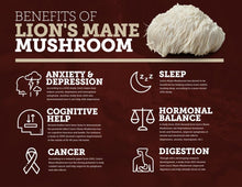 Load image into Gallery viewer, Lions Mane Mushroom Extract Powder, Mood, Cognitive &amp; Nerve Health, Digestive Health, 2oz
