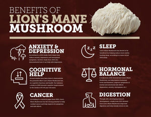 blog-1-1 Lions Mane Mushroom (Hericium erinaceus) Dried Sliced 1oz, Natural, Or – phoenix lynn health and beauty