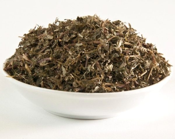 Chanca Piedra, Phyllanthus niruri. (STONEBREAKER) Loose Leaf Tea, Kidney stones,Hepatitis B,1 oz Organic