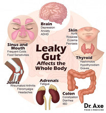 Load image into Gallery viewer, Leaky Gut Repair Powder – Gut Microbiome, IBS Relief, Autoimmune disease, Glutamine, 4 oz
