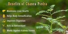 Load image into Gallery viewer, Chanca Piedra, Phyllanthus niruri. (STONEBREAKER) Loose Leaf Tea, Kidney stones,Hepatitis B,1 oz Organic
