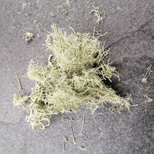 Load image into Gallery viewer, USNEA LICHENS (Usnea barbata) Old Mens Beard lichen, Organic 1 oz, Natural Antibiotic
