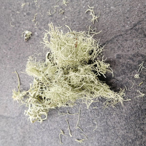 USNEA LICHENS (Usnea barbata) Old Mens Beard lichen, Organic 1 oz, Natural Antibiotic