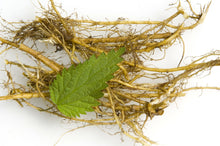 Load image into Gallery viewer, Stinging Nettle Root(Urtica dioica) MALE PROSTATE, DRIED CUT AND SHIFTED Organic 1oz
