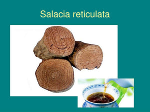 Salacia reticulata Tincture (Kothala Himbutu) Diabetes, Weight loss, Carb inhibitor 1 oz.